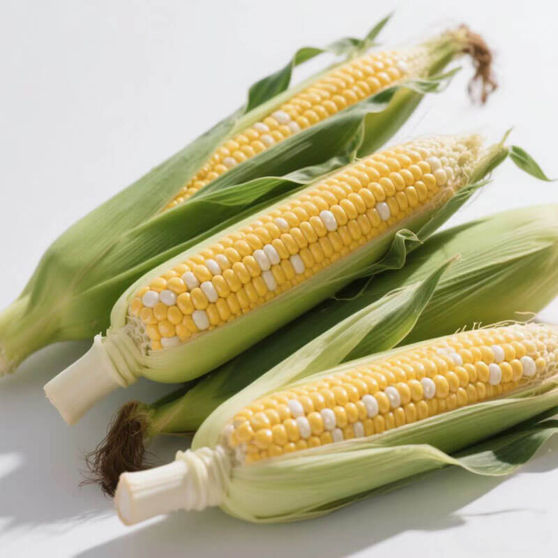 玉米水分檢測(cè)方法